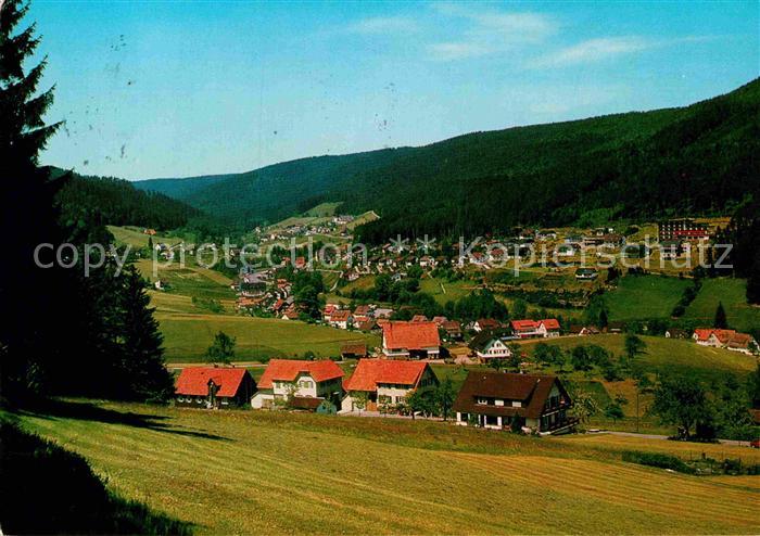 Tonbach Panorama