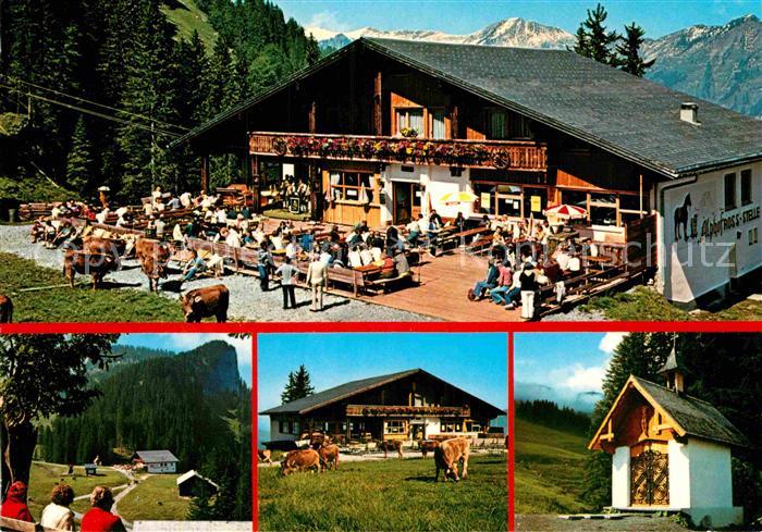 Mellau Vorarlberg Alpenhof Ross Stelle