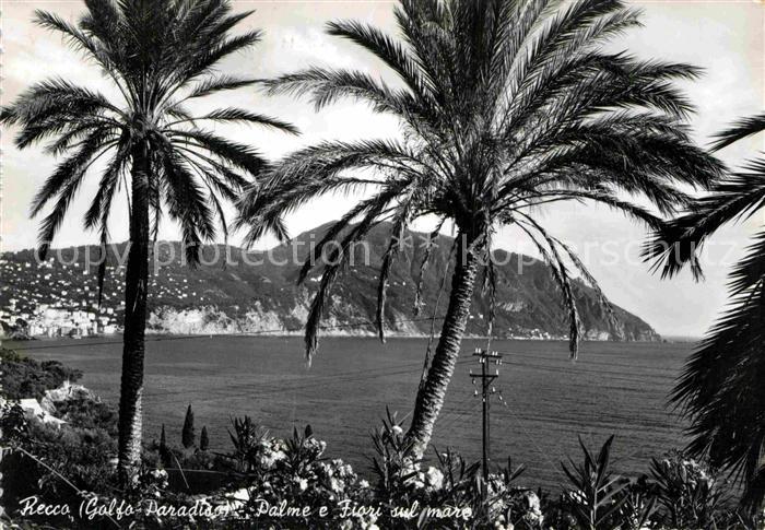 Recco Genova Genua Liguria IT Golfo Paradiso Palme e Fiori sul mare
