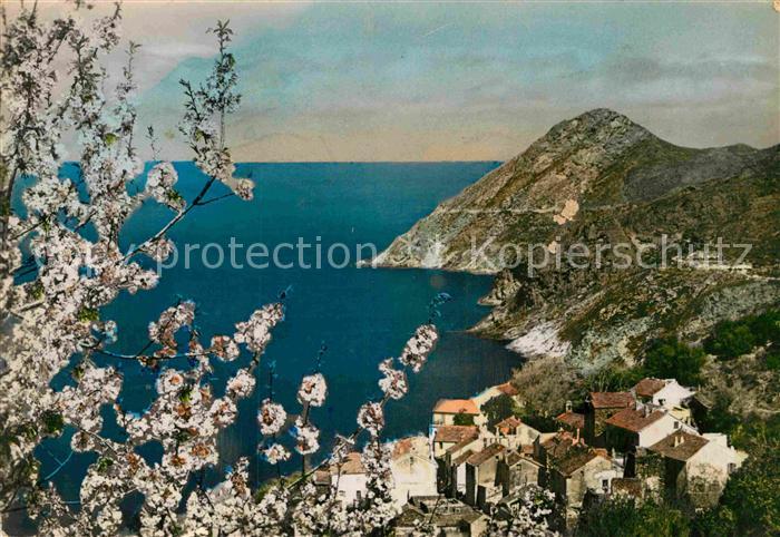 Canari Printemps dans le Cap Corse Küstenpanor