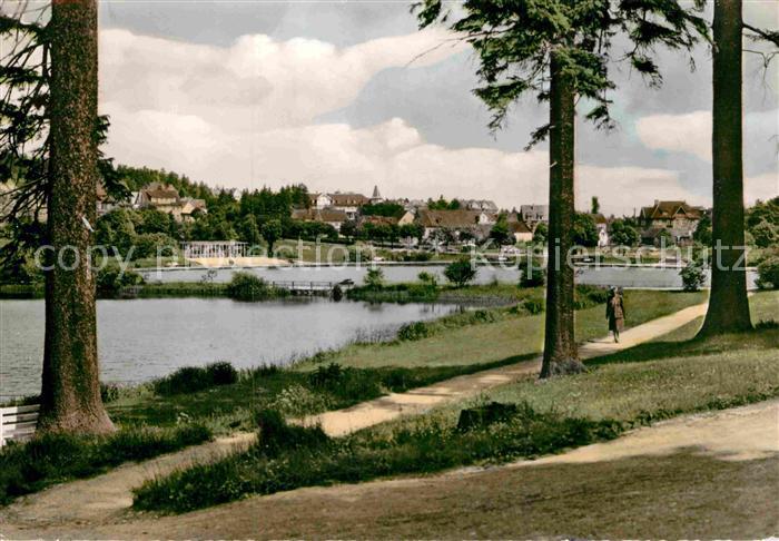 Hahnenklee-Bockswiese Harz Kranichteich mit Irenen Quelle Uferweg