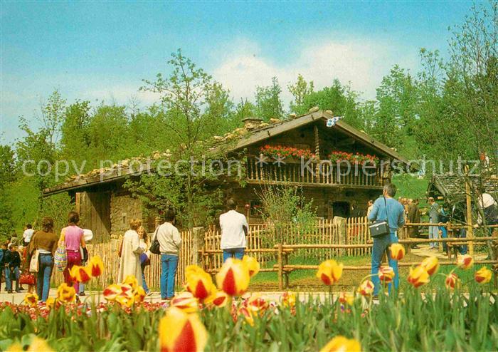Tittling Bayerwaldhaus Museumsdorf Bayerischer Wald Tulpen