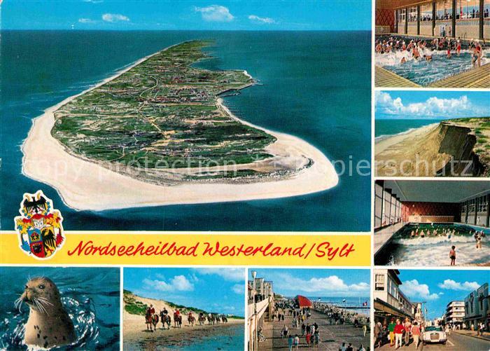 Westerland Sylt Nordseeheilbad Insel Fliegeraufnahme Seehund Reiten am Strand Pr