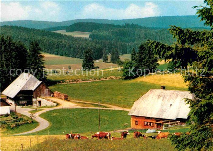 Schoenwald Schwarzwald Bartlisbauernhof Ferien auf dem Bauernhof