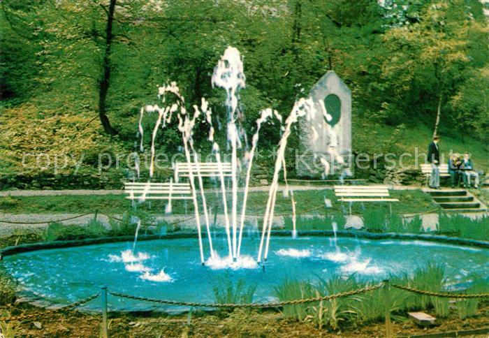 Altenau Harz Brunnen