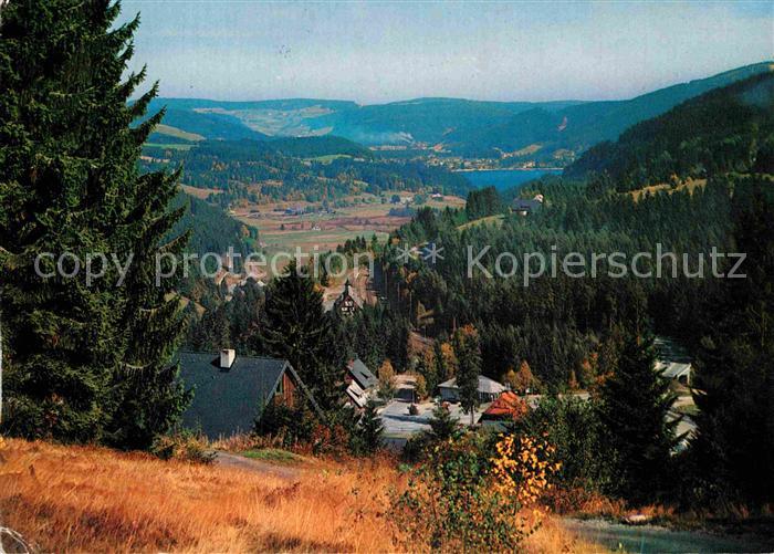 Titisee-Neustadt Blick vom Feldberg-Baerental