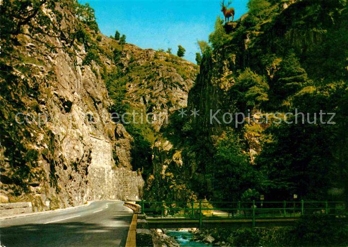 Hoellental Schwarzwald Hirschprung