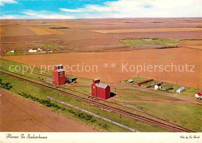Harvest Fliegeraufnahme In Sakatchewan