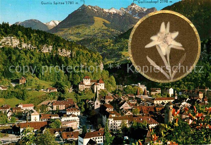 Feldkirch Vorarlberg Teilansicht Gurtis Spitze Gallinakopf