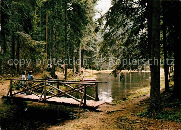 Simmersfeld Saegmuehl See