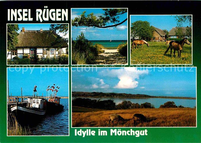 Ruegen Weide Hafen Panorama