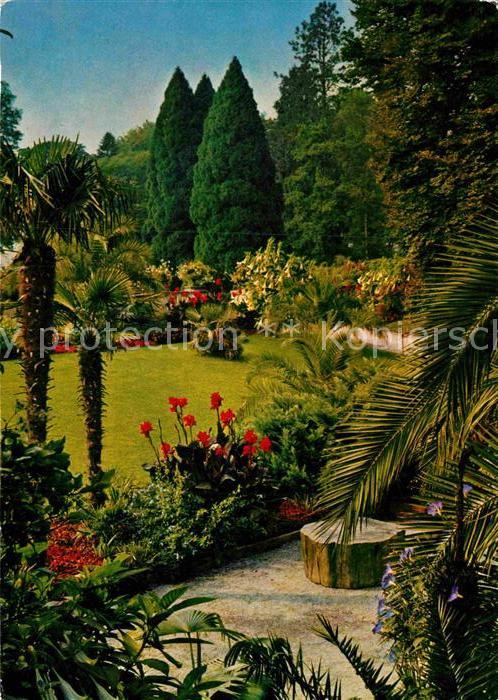 Mainau Blick vom Palmenhain in den Garten