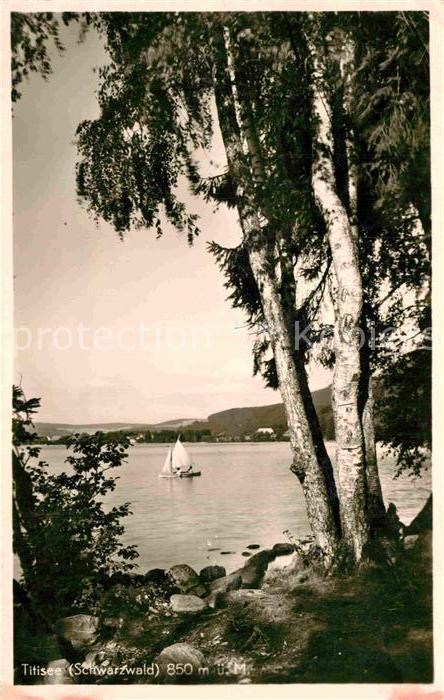 TITISEE Schwarzwald BW Panorama
