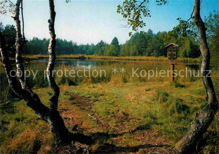 Schwenningen Neckar Am Neckar Ursprung