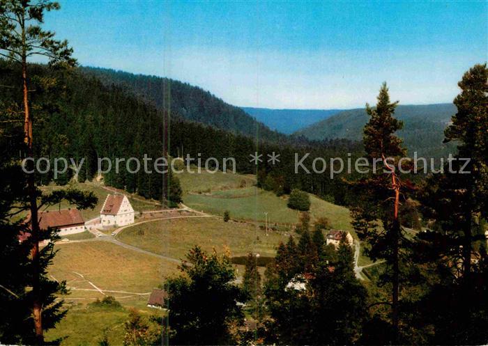 FREUDENSTADT BW Christophstal mit Baerenschloessle