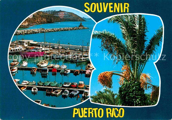 Puerto Rico Gran Canaria Hafenpartie Palmen
