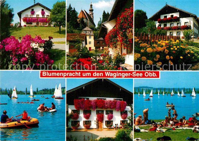 Waging See Blumenpracht um den Waginger See