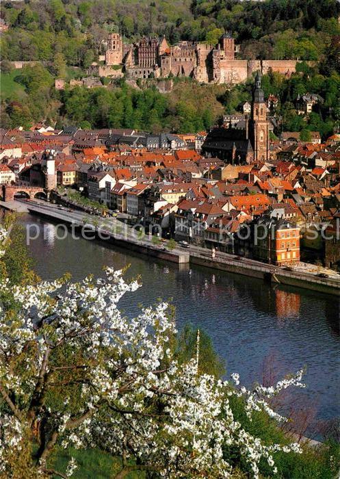 Heidelberg Neckar Blick vom Philosophenweg