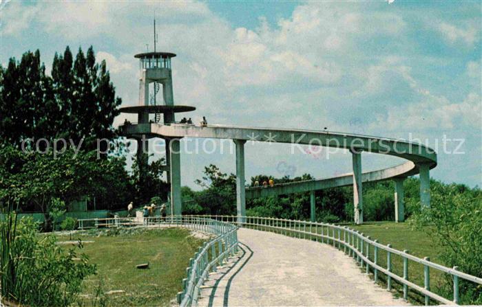 Miami Florida Everglades National Park Shark Valley Observation Tower