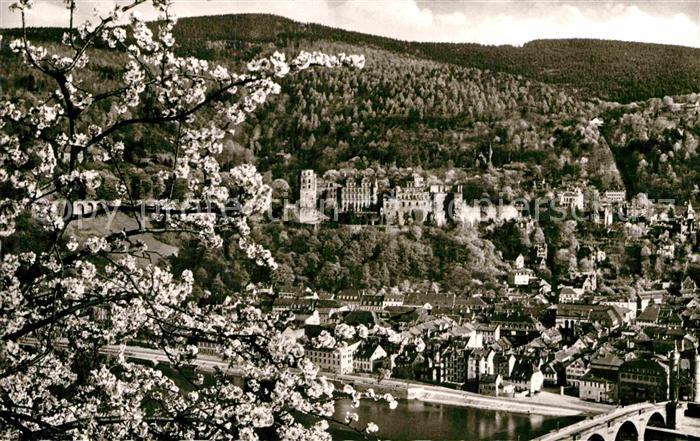 Heidelberg Neckar Stadtpanorama mit Blick aufs Schloss Baumbluete
