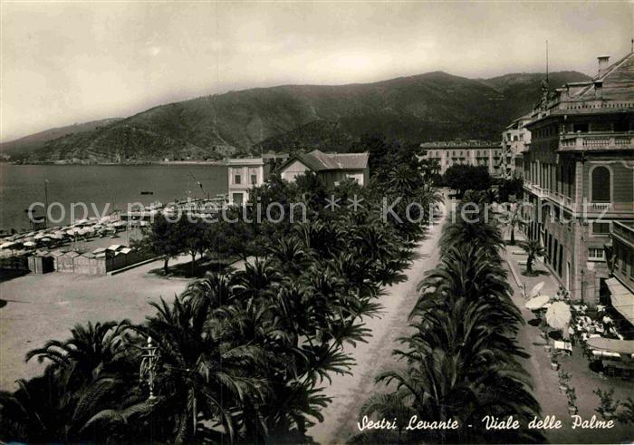 Sestri Levante Viale delle Palme
