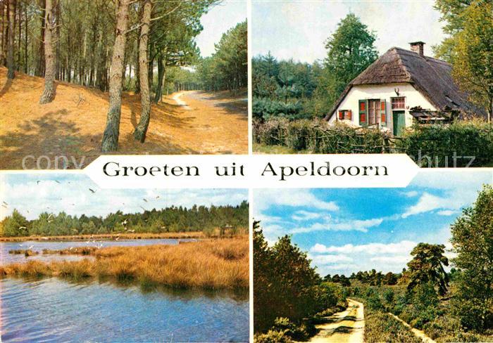 Apeldoorn Berg en Bos Landschaftspanorama Waldpartie Reetdachhaus