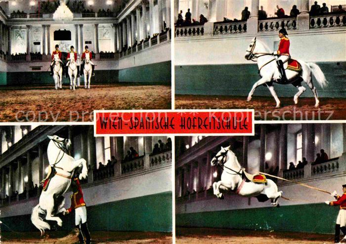 Wien Spanische Hofreitschule Lippizaner Pferde