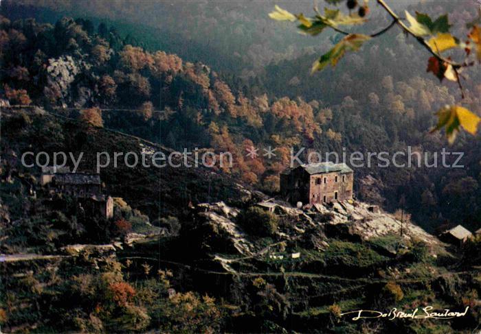 Corse Ile de La Cstagniccia et l'ecrasante majeste de ses forets de chataigniers