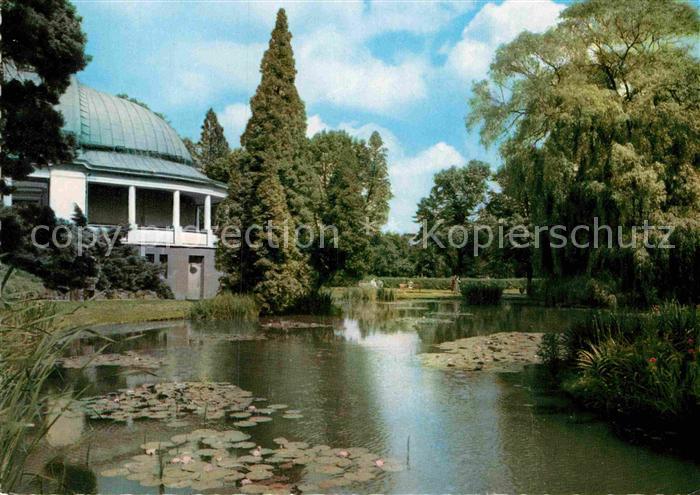 Bad Wildungen Fackelteich Seerosenteich im Kurpark mit Musikpavillon