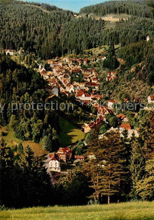 Triberg Schwarzwald Talblick