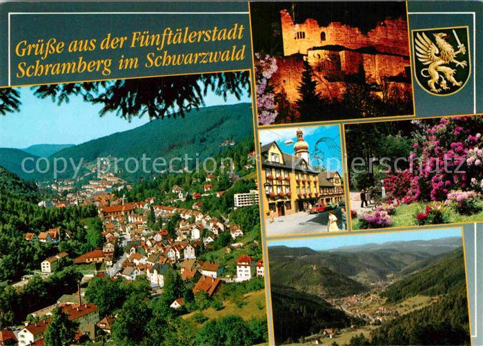Schramberg Fuenftaelerstadt im Schwarzwald Burgruine Wappen Park