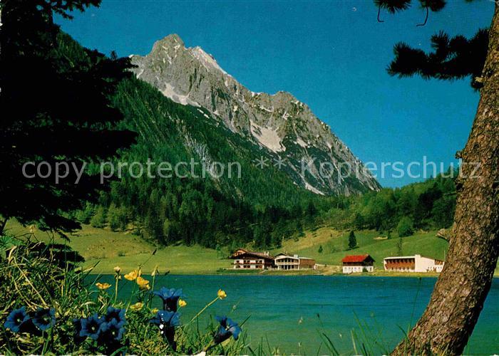 Lautersee Mittenwald Blauer Enzian am Seeufer gegen Wettersteinspitze