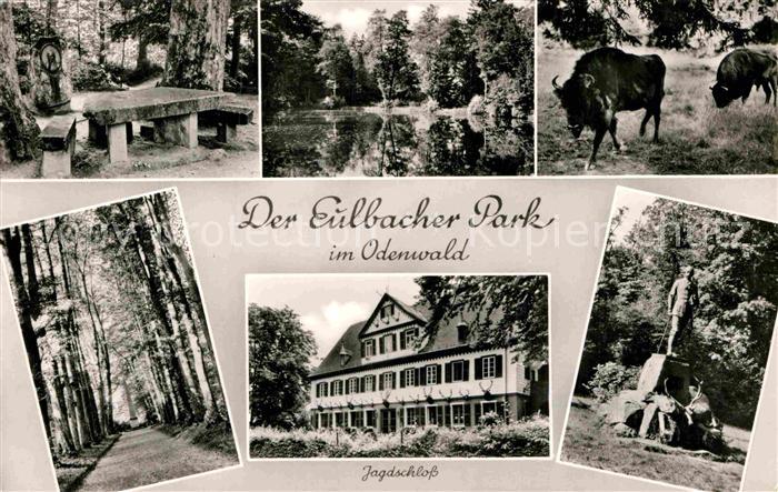 Odenwald Eulbacher Park Bisons Weiher Jagdschloss Allee Denkmal