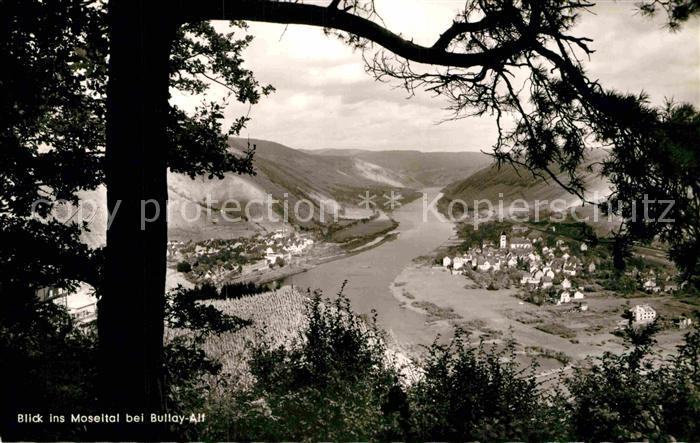 Alf Mosel mit Bullay Panorama
