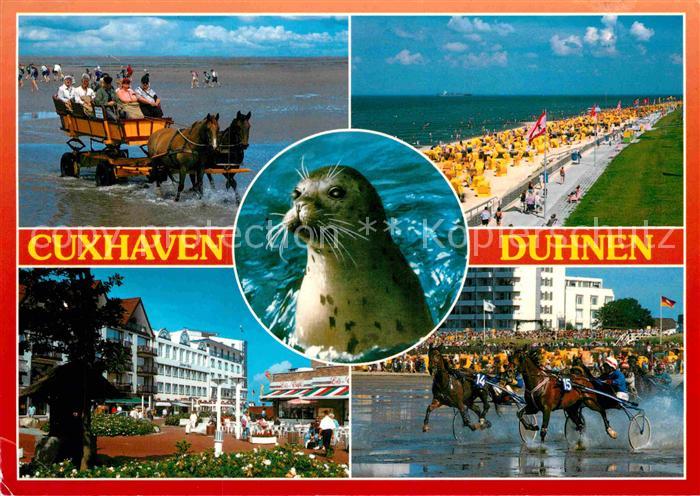 Cuxhaven Duhnen Nordseebad Wattfahrt Strand Hotels Trabrennen