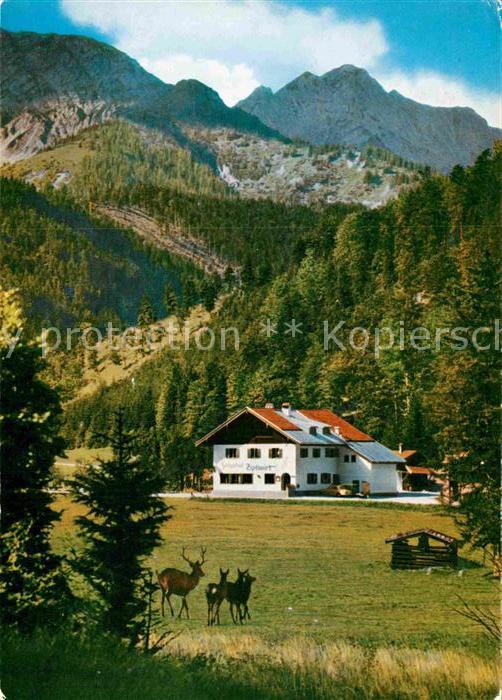 Bayrischzell Forstgasthof Zipflwirt mit Sonnwendjoch