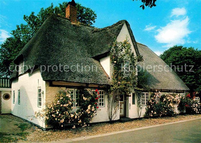 Nieblum Das Rosenhaus