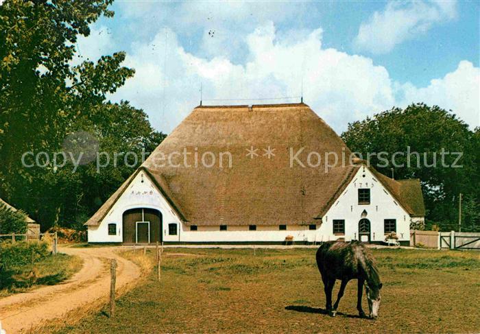 Eiderstedt Eiderstedter Hauberg