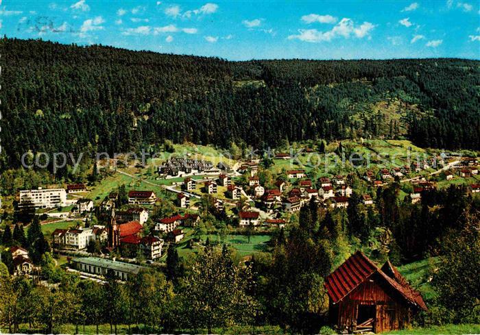 Wildbad Schwarzwald Panorama
