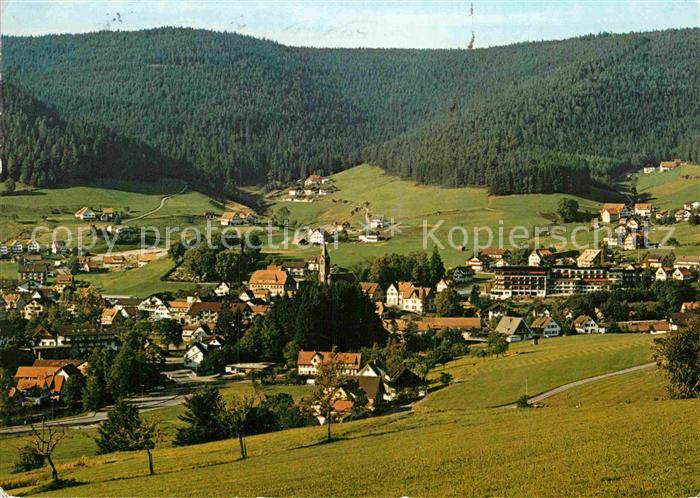 Mitteltal Schwarzwald Panorama