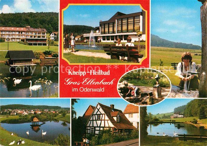 Gras-Ellenbach Schwanenteich Kneipp Kurhaus Heilbad Brunnen Fachwerkhaus