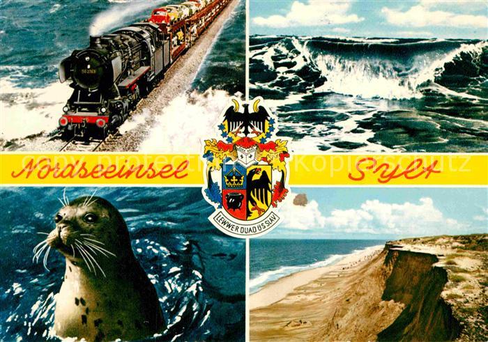 Insel Sylt Inselzug Brandung Seehund Steilkueste