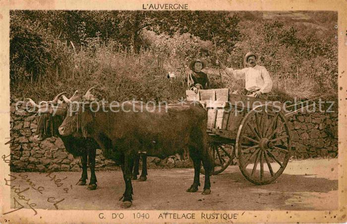 Auvergne Region Ochsenkarren