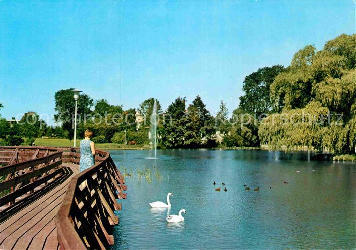 Buende Westfalen Steinmeister-Park Schwaene