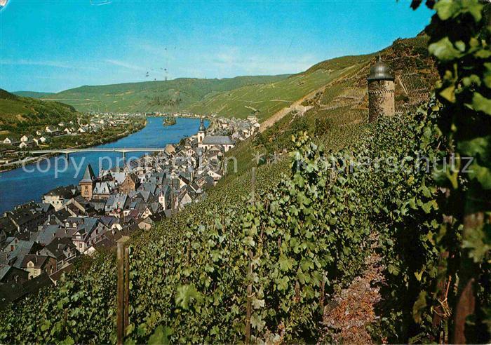 Zell Mosel Moselpartie