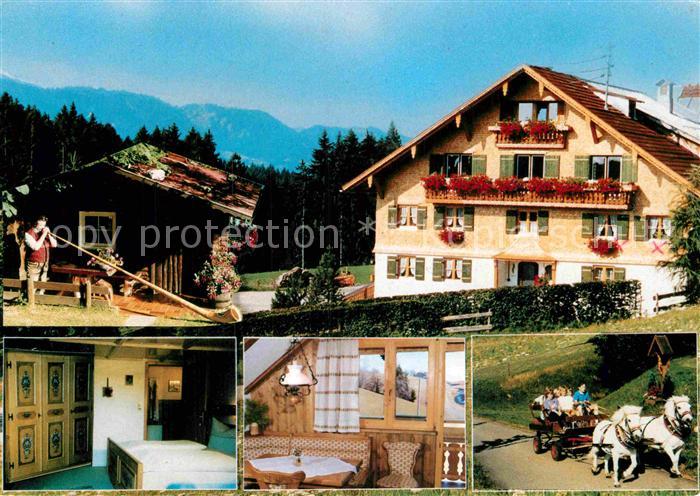 Immenstadt Allgaeu Feriendorf Westenried Ponywagen Alpen