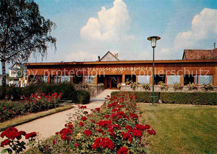 Oestrich-Winkel Molsbergers Rheinterrasse und Weinstube