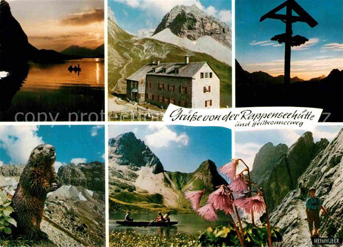 Rappenseehuette Murmeltier Heilbronnerweg