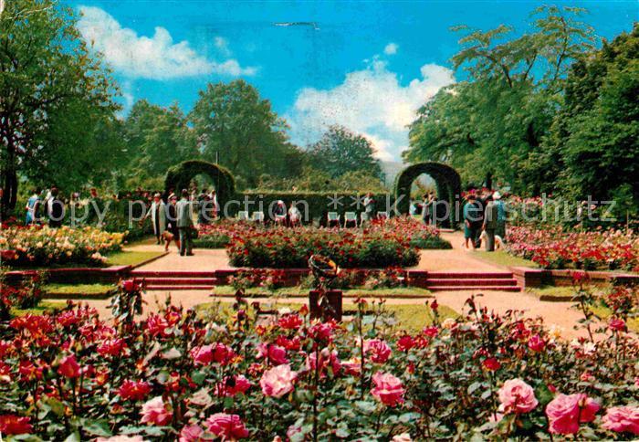 Essen Ruhr Gruga-Park Rosengarten