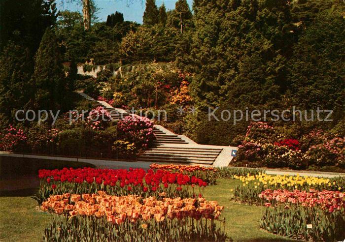 Insel Mainau Ufergarten mit Tulpen